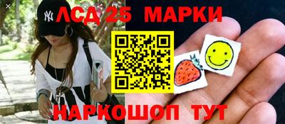 гидропоника Ярославль