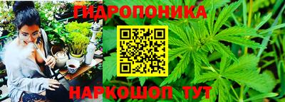 наркотики Кингисепп