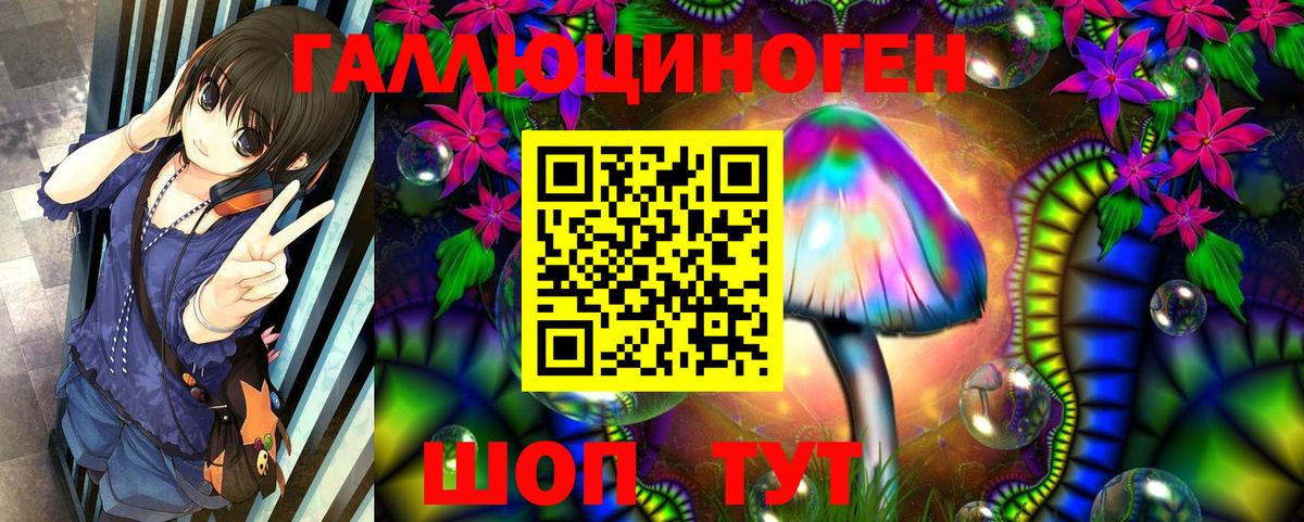 Псилоцибиновые грибы Psilocybine cubensis Лесозаводск
